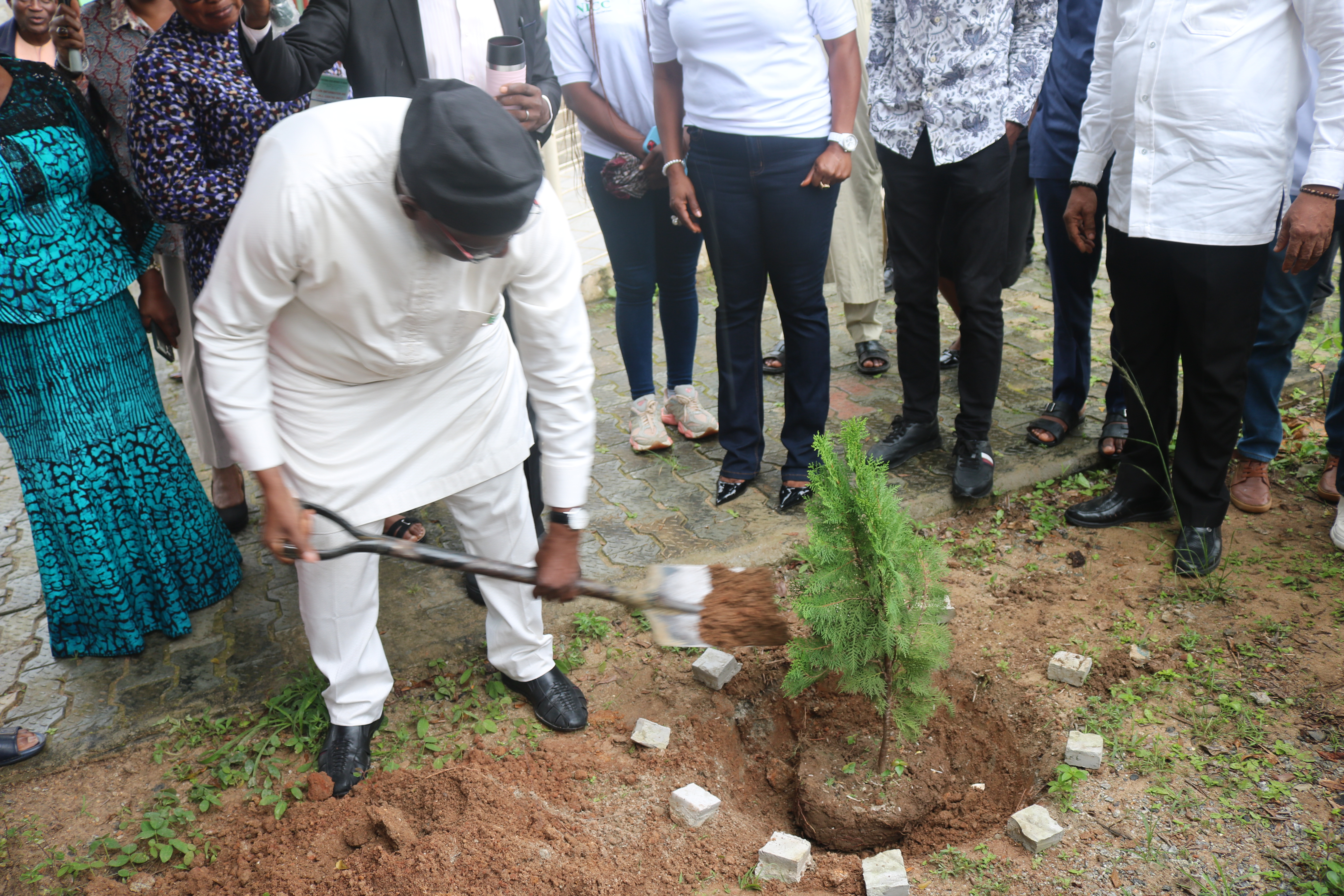 tree-planting