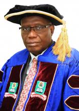 Prof. Olufemi A. Peters